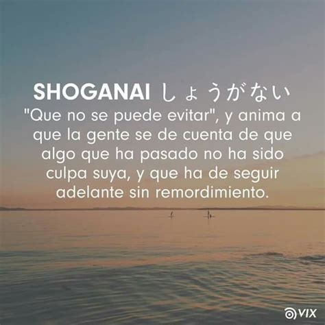 shoganai significado|Shouganai and Shikatanai